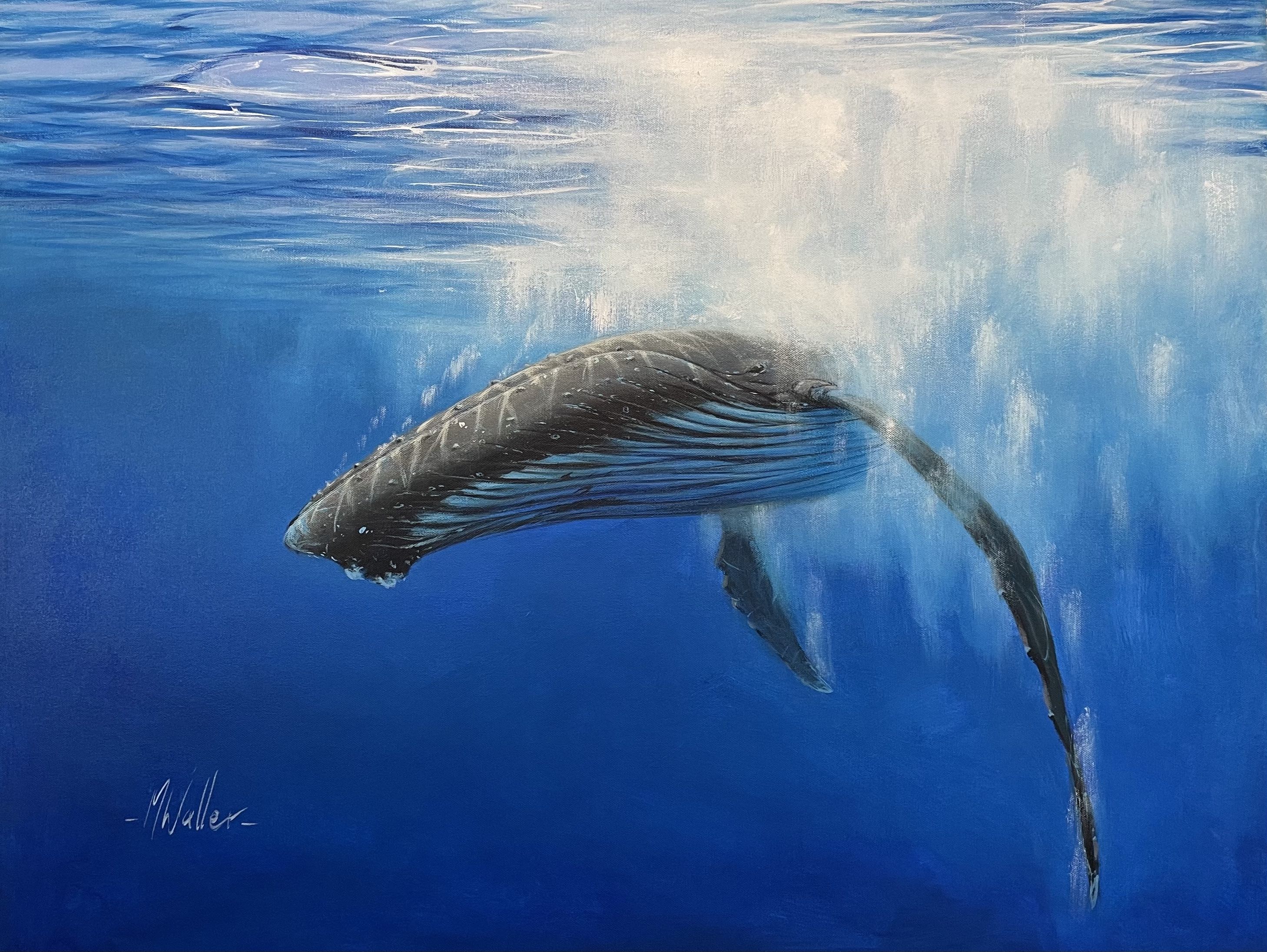 Dynamic Whale
