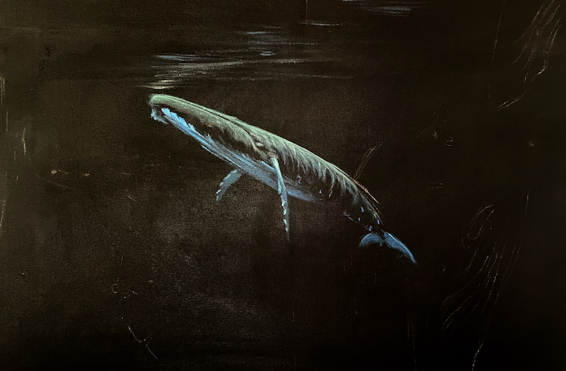 Learn How To Paint A Whale