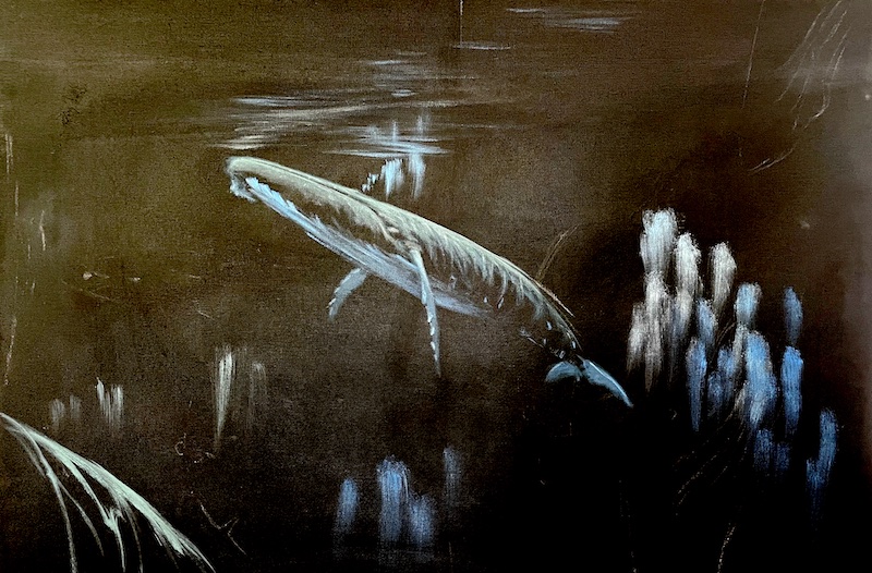 Learn How To Paint A Whale