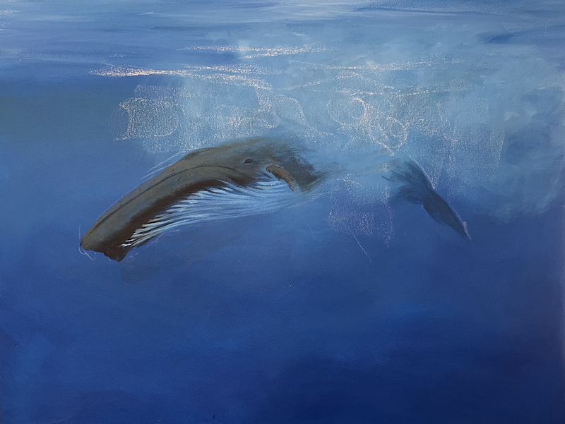 Paint a Dynamic Whale 7 Paint a Dynamic Whale 7