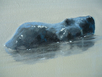 How to Paint with Mark Waller Rock Painting Tutorial