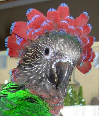 The photo inspiration