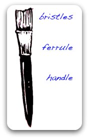 paintbrushes - brush anatomy