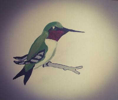 Hummingbird