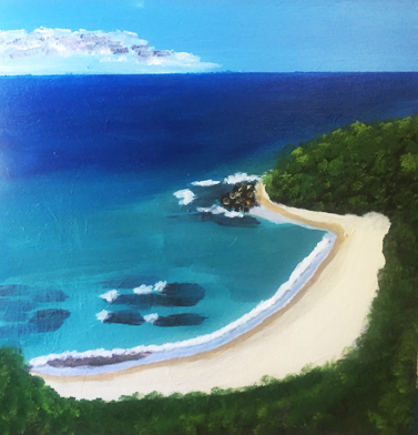 A Beach in Northern NSW