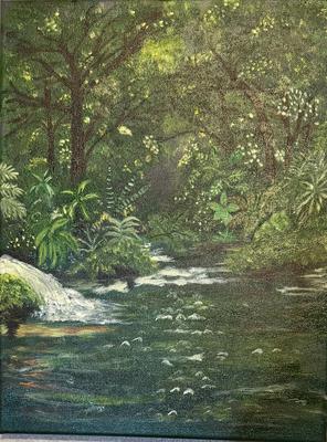 Mangrove of Costa Rica