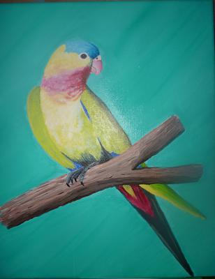 Princess Parrot
