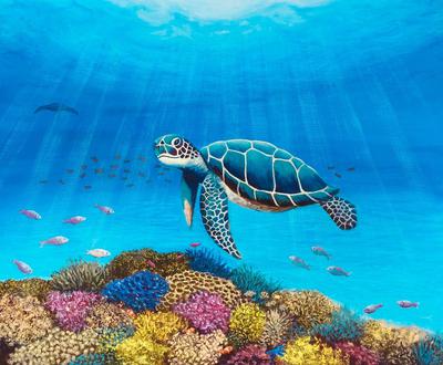 Snorkeling Trip Inspiration