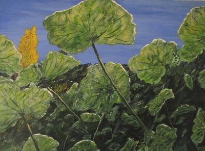 Sunlight on Geranium Leaves