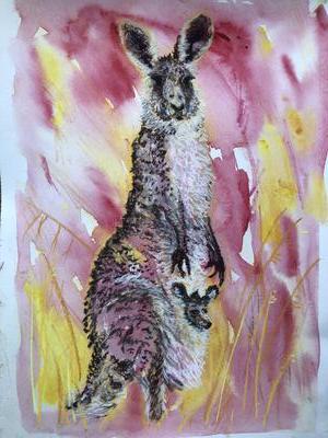 Upon surprising a kangaroo mumma with her joey