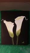 Calla lilies
