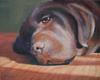Chocolate Lab Memorial Portrait