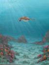 Little Turtle in the Big Sea