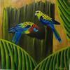 Our Rosellas