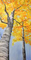 Yellow Birches