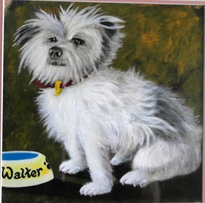 Walter The Wonder Dog