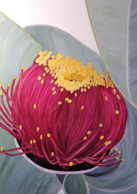 Western Australian Queen